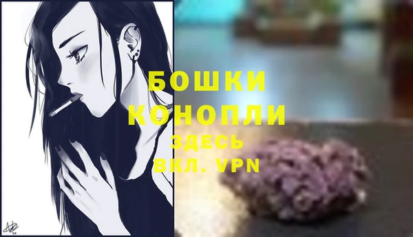 крисы Белоозёрский