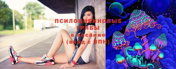 крисы Белоозёрский